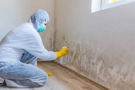 Grafton, OH Mold Inspection Company