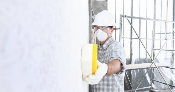 Mold Odor Removal Services in Grafton, OH