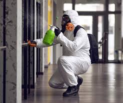 Best Mold Remediation for Healthcare Facilities  in Grafton, OH