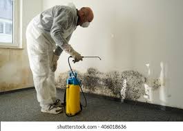 Best Mold Prevention Services  in Grafton, OH